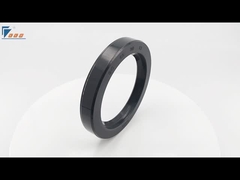 Endüstriyel Mekanik Mühürler Endüstriyel Uygulamalar İçin SC Tipi Yağ Mühürü